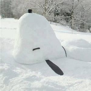 Meet your Posher, Ellen